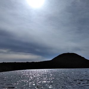 Meet your Posher, Dora